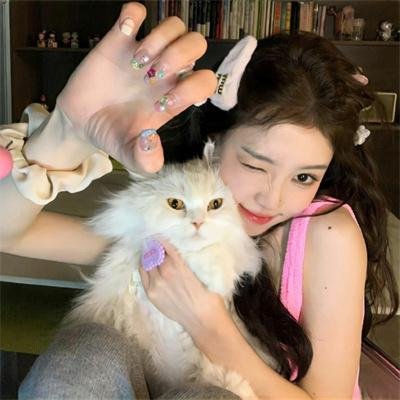 沙曼罕之重返冠军路